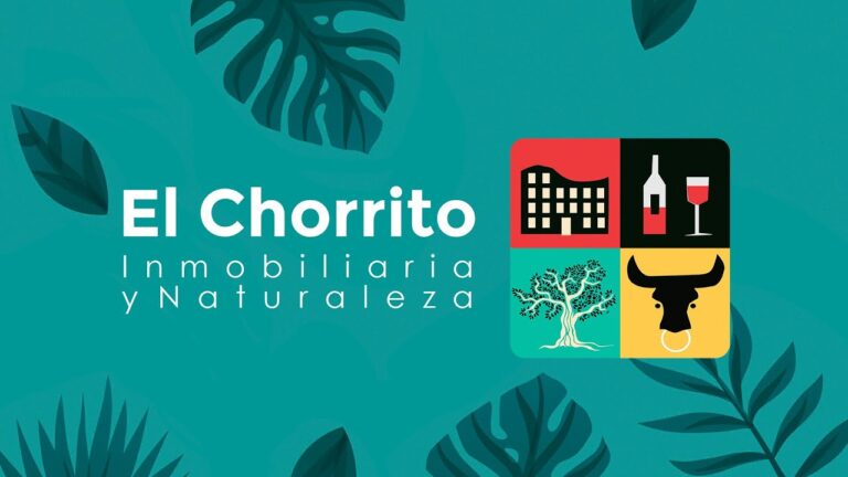 Terraza Soleada: El Espacio Ideal para Relajarse