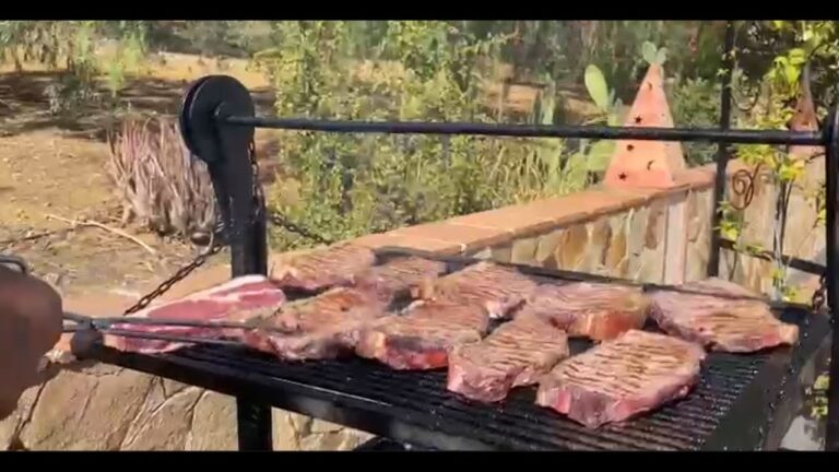 Deliciosas Barbacoas en la Terraza: Una Experiencia Única