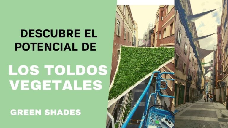 Ventajas de los Toldos en Jardines