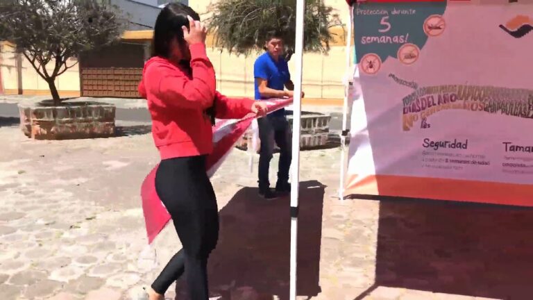 Gu&iacute;a Completa para la Personalizaci&oacute;n de Toldos de Pl&aacute;stico