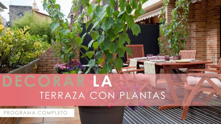 Tendencias Innovadoras en Toldos para Espacios de Recreo