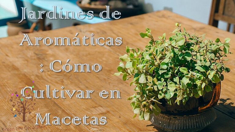 Terrazas Verdes: Creando Espacios con Macetas de Plantas Arom&aacute;ticas