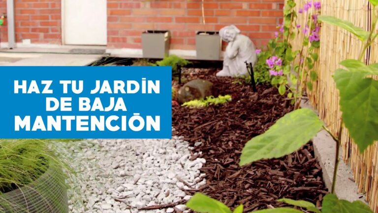Terrazas y Jardines: Entornos Perfectos para Cultivar Hierbas