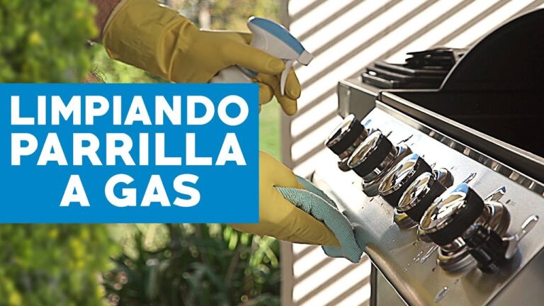 Barbacoas Port&aacute;tiles: La Soluci&oacute;n Ideal para Cocinar al Aire Libre