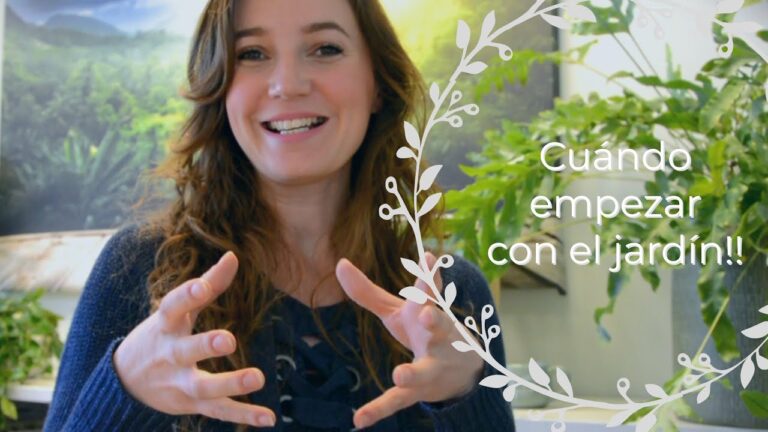 Transformaci&oacute;n de Terrazas y Jardines a Trav&eacute;s del Dise&ntilde;o Paisaj&iacute;stico