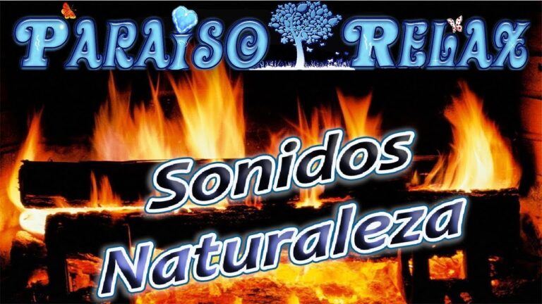 Momentos de Relax en la Fogata