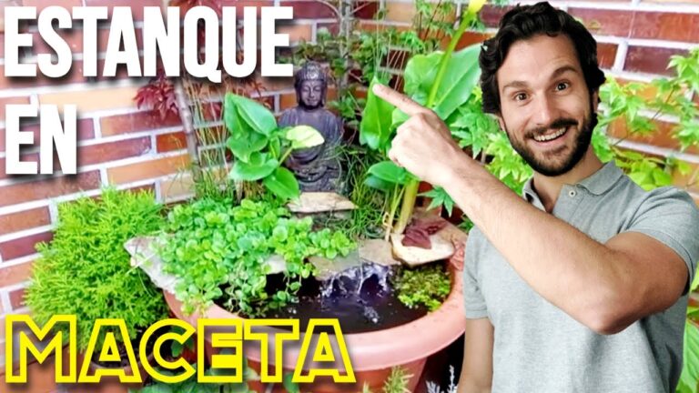 Creando Jardines Acuáticos en Terrazas para Espacios Verdes