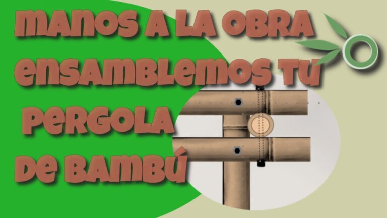 Estructuras de Bamb&uacute;: Dise&ntilde;o Sostenible para P&eacute;rgolas