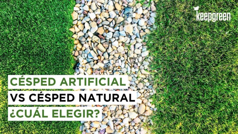Ventajas del Césped Artificial en Terrazas y Jardines
