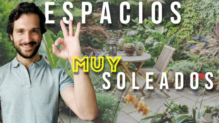 P&eacute;rgolas Perfectas para Climas Extremos