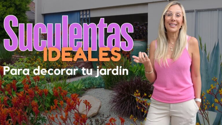 Gu&iacute;a para Elegir Macetas Decorativas en Terrazas