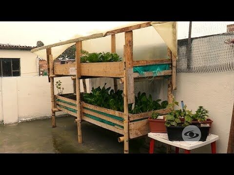 Terrazas y Jardines Verdes: Cultivos de Hortalizas Sostenibles