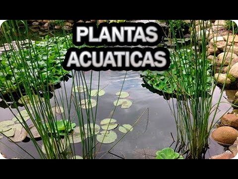 Terrazas Eco-Sostenibles: Disfruta del Sol de Manera Responsable