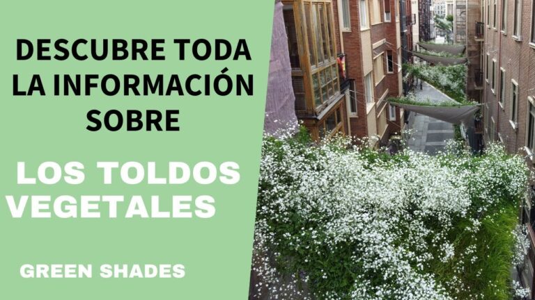 Innovaci&oacute;n en Toldos para Jardines: Estilos y Funcionalidad