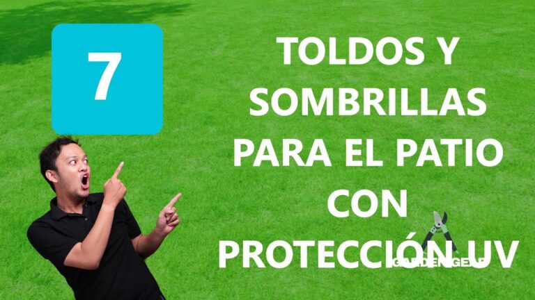 Variedad de Colores y Materiales en Toldos Plegables