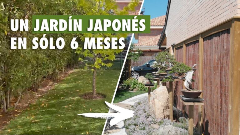 Jardiner&iacute;a Japonesa: Elegancia en Terrazas y Jardines