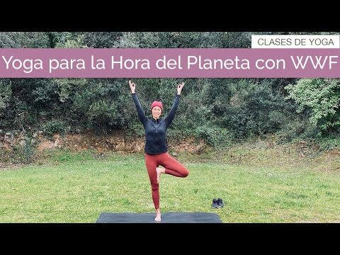 Conexi&oacute;n Natural: Yoga en la Terraza